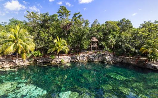 cenote a  tulum (riviera maya, messico)