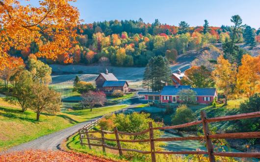 proprietà rurale nel vermont con alberi durante il foliage(vermont, stati uniti)
