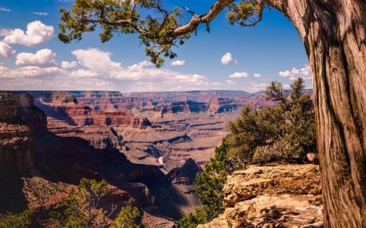 parco nazionale del grand canyon (arizona, stati uniti)