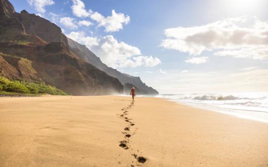 scogliere vulcaniche sull'oceano sull'isola di kauai (hawaii, stati uniti)