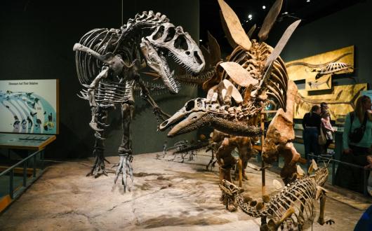 museo di preistoria a denver (colorado, stati uniti)