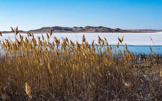 palude con lago parzialmente ghiacciato (nebraska, stati uniti)