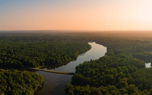 area boschiva con fiume (alabama, stati uniti)