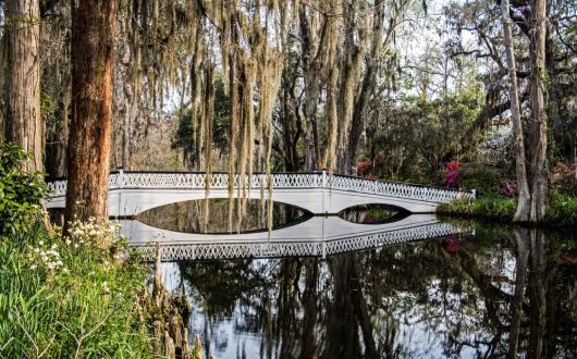piantagione con giardini botanici nella carolina del sud (carolina, stati uniti)