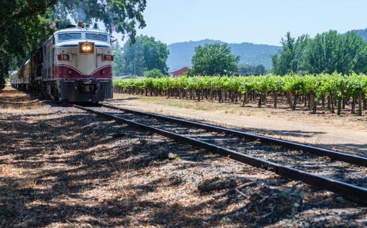 il Wine Train nella Napa Valley in California