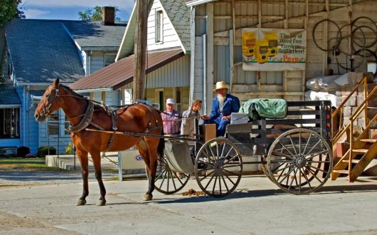 uomo amish con un calesse trainato da un cavallo (indiana, stati uniti)