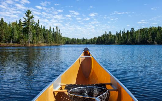 canoa su un lago tra foreste del nord america (minnesota, stati uniti)