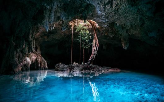 cenote a tulum (riviera maya, messico)
