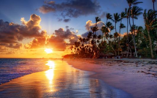 tramonto sul mare su una spiaggia di palme (barbados, stati uniti)