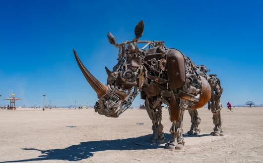 burning man festival stati uniti