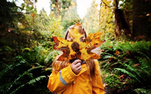ragazza si nasconde dietro una grande foglia all'olympic national park (washington, stati uniti)