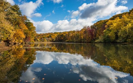 panorama autunnale di boschi e lago in new england (new hampshire, stati uniti)