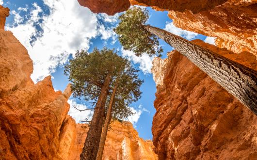 bryce canyon national park (utah, stati uniti)