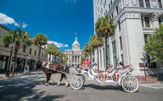 turisti durante un giro in carrozza a charleston (south carolina, stati uniti)