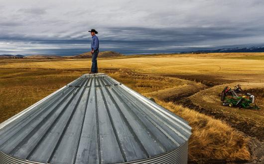 cowboy sul tetto di un silo di cereali in un campo di grano (montana, stati uniti)