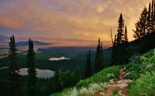 tramonto sulle foreste dell'idaho (idaho, stati uniti)