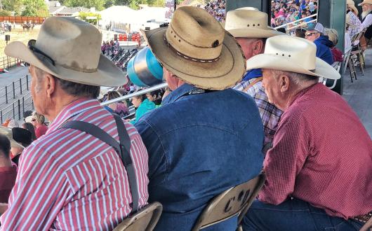 anziani cowboys assistono ad un rodeo (wyoming, stati uniti)