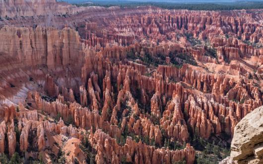 LOS ANGELES, PARCHI e DESERTI