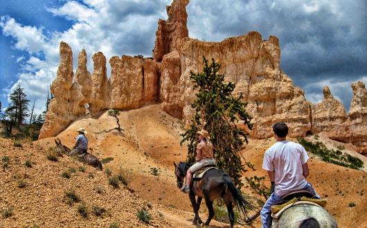 Tour in pullman Bryce Canyon