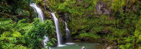 piccole cascate nelle foreste di maui (hawaii, stati uniti)