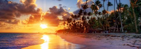tramonto sul mare su una spiaggia di palme (barbados, caraibi)