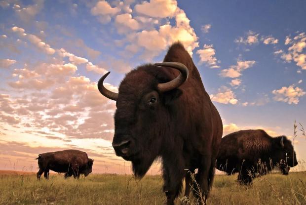 south dakota stati uniti america