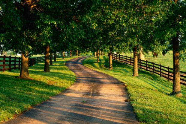 viaggio in kentucky, stati uniti