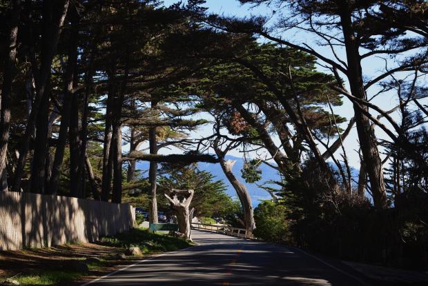 17 mile drive in california (california, stati uniti)