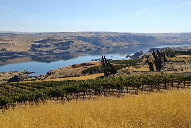 Pacific Northwest, tour letterario nel Nord Ovest degli USA
