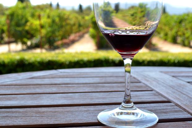degustazione vino alla napa valley s(california, stati uniti)