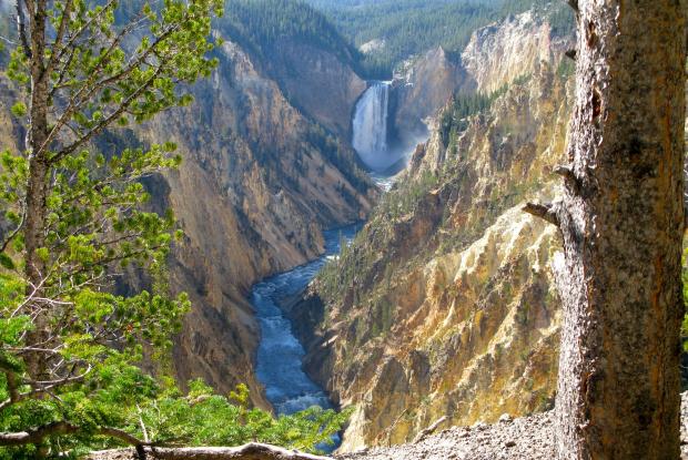 cascate grand canyon dello yellowstone (wyoming, stati uniti)