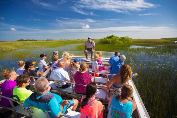 un tour a bordo di un hovercraft nel parco di everglades per vedere gli alligatori