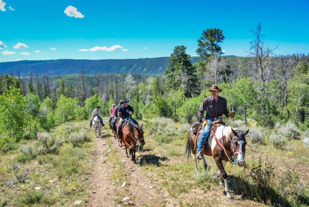 trascorrere un paio di notti in un ranch negli stati uniti, un'esperienza unica