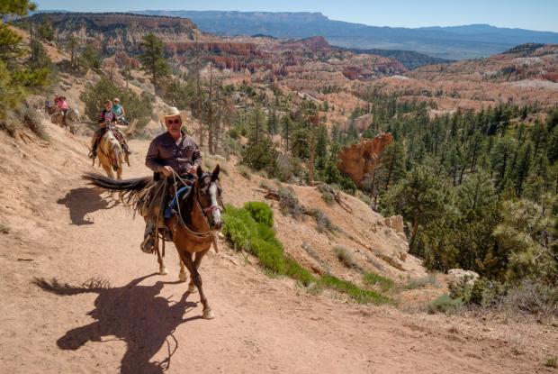 passeggiate a cavallo nei canyon degli stati uniti