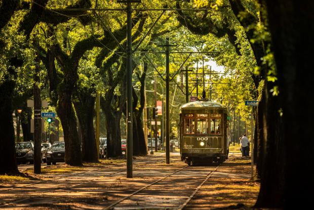 tram storico lungo viale alberato di new orleans (louisiana, stati uniti)