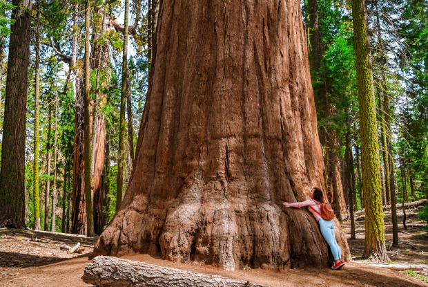 yosemite national park (california, stati uniti)