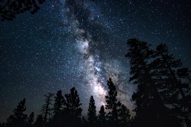 tour guidati notturni nei parchi nazionali per vedere le stelle!