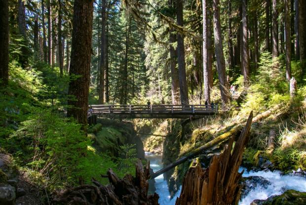 olympic national park (washington, stati uniti)