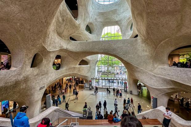 dai musei più famosi d'America alle piccole rassegne