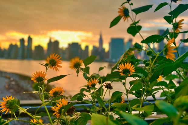 manhattan