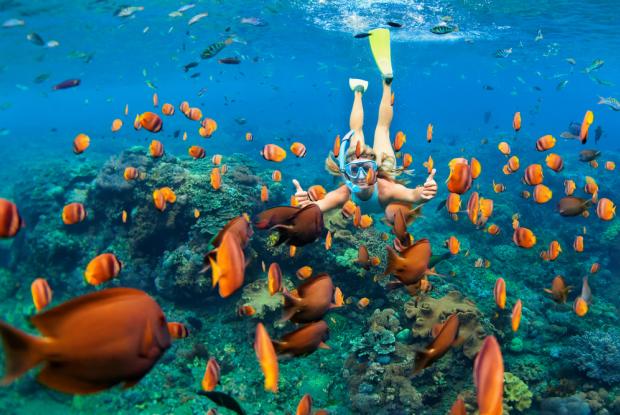 snorkeling alle hawaii