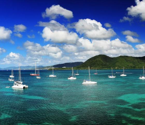 mare caraibi