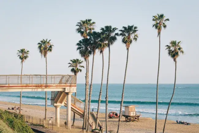viaggio tra san francisco e los angeles