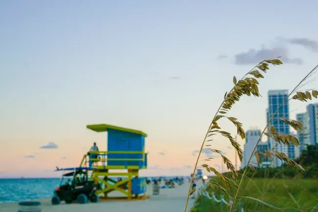 viaggio in florida in inverno