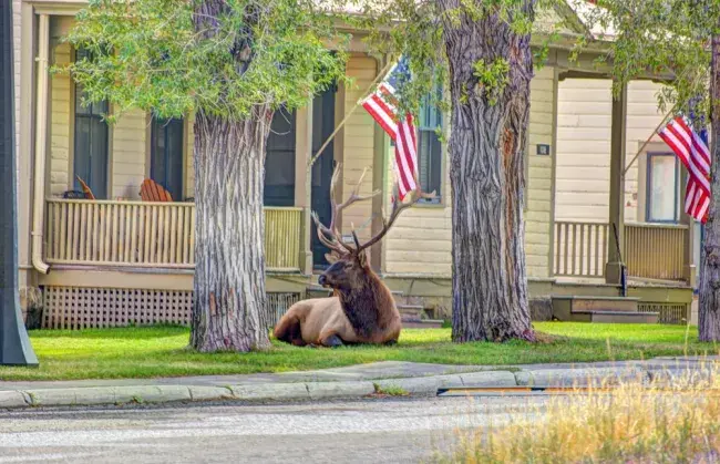 Come prenotare i lodge nei parchi nazionali americani: guida pratica