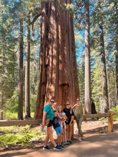 Viaggio negli USA con bambini