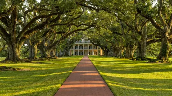 New Orleans e il Profondo Sud: musica, cucina e storia americana