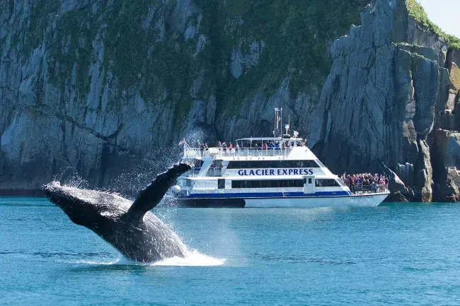tour in alaska