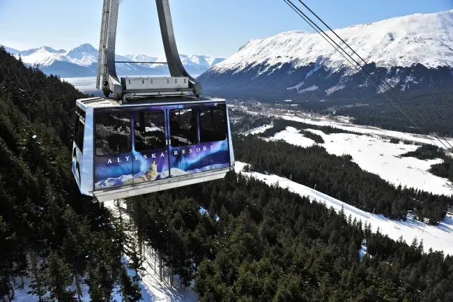 tour in alaska