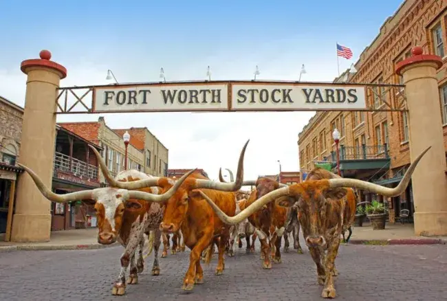 viaggio in texas dallas